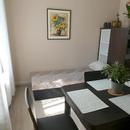 Apartman Marenka Nove Mesto na Morave Buitenkant foto