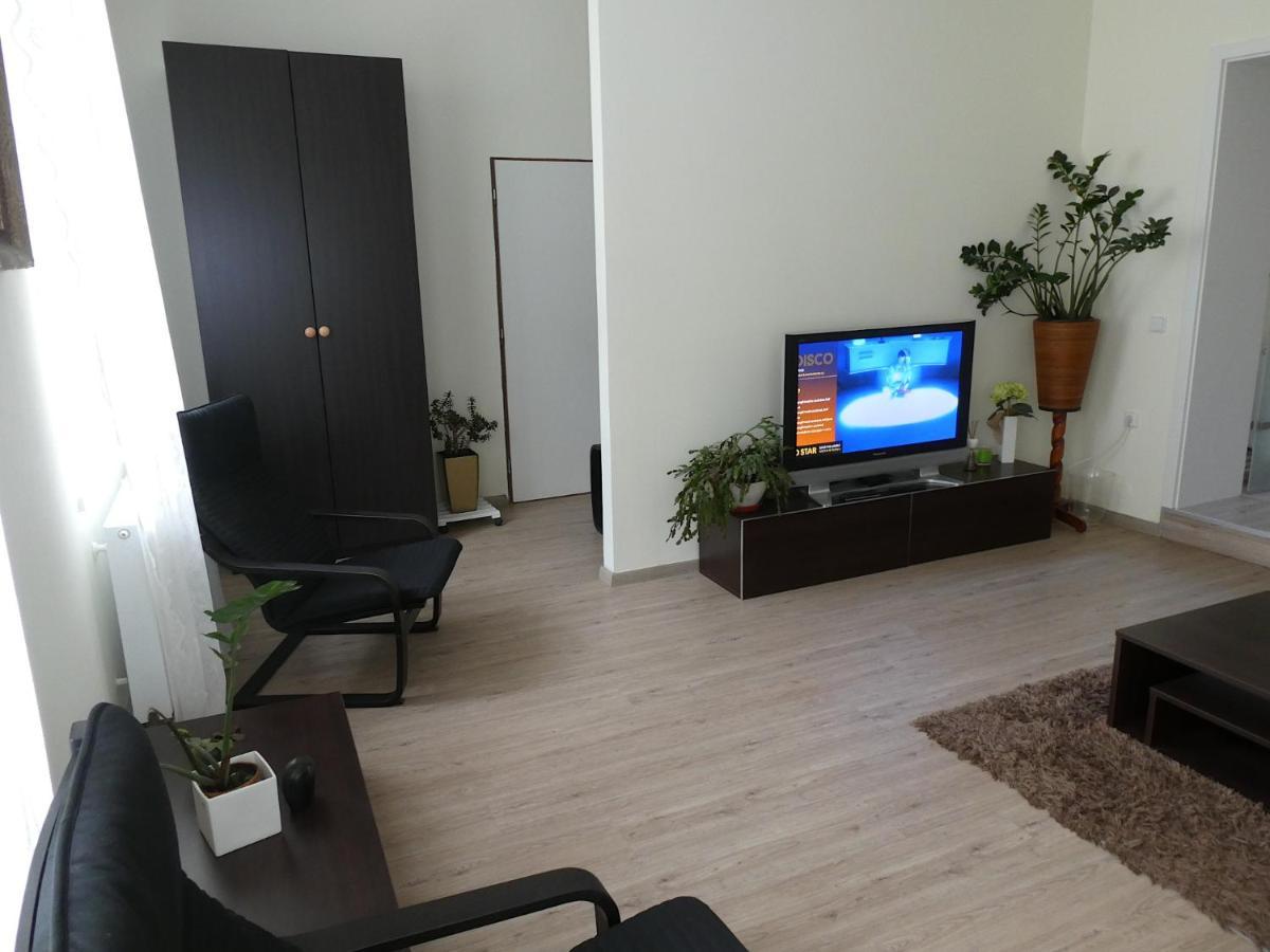 Apartman Marenka Nove Mesto na Morave Buitenkant foto