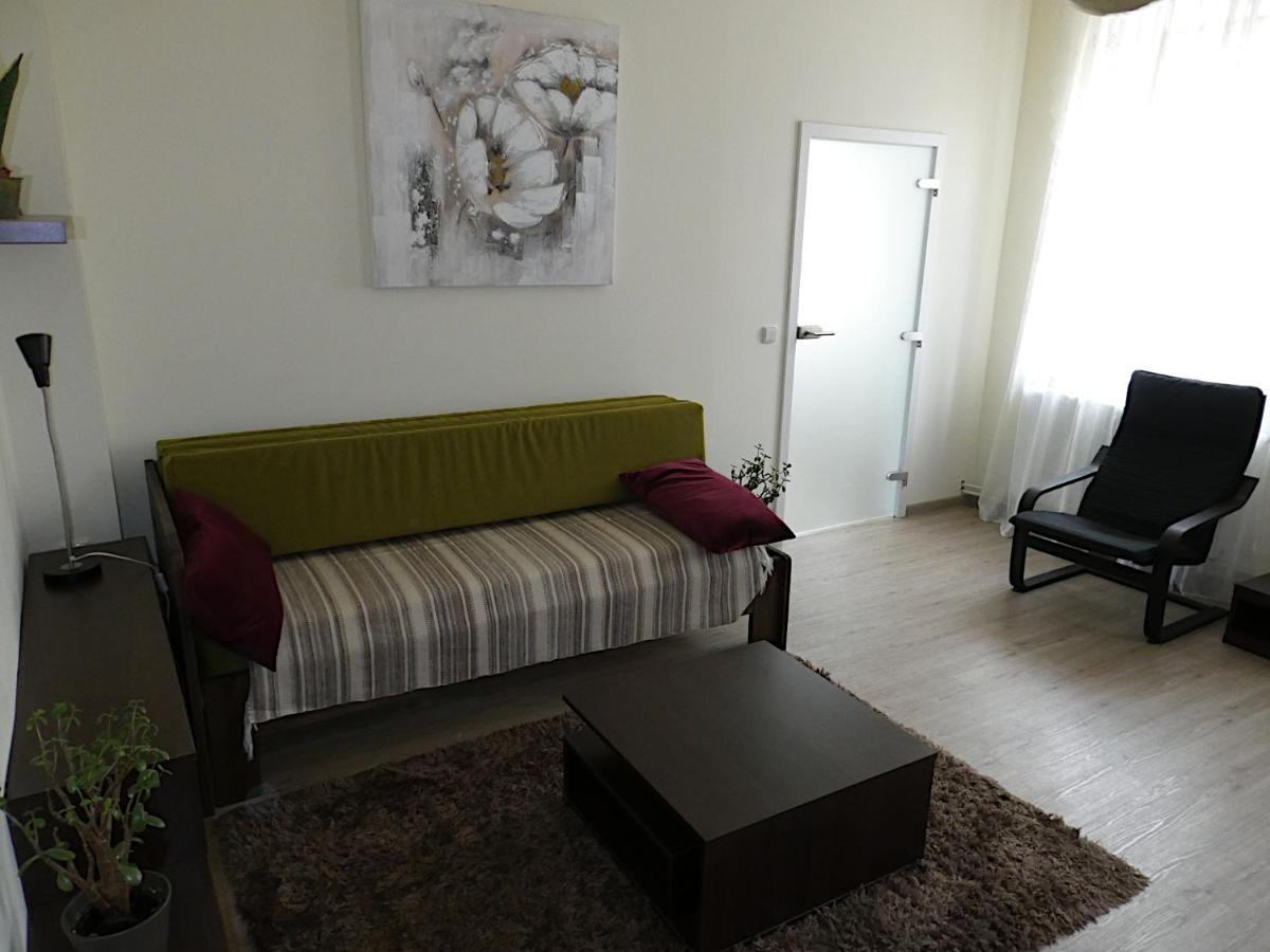 Apartman Marenka Nove Mesto na Morave Buitenkant foto